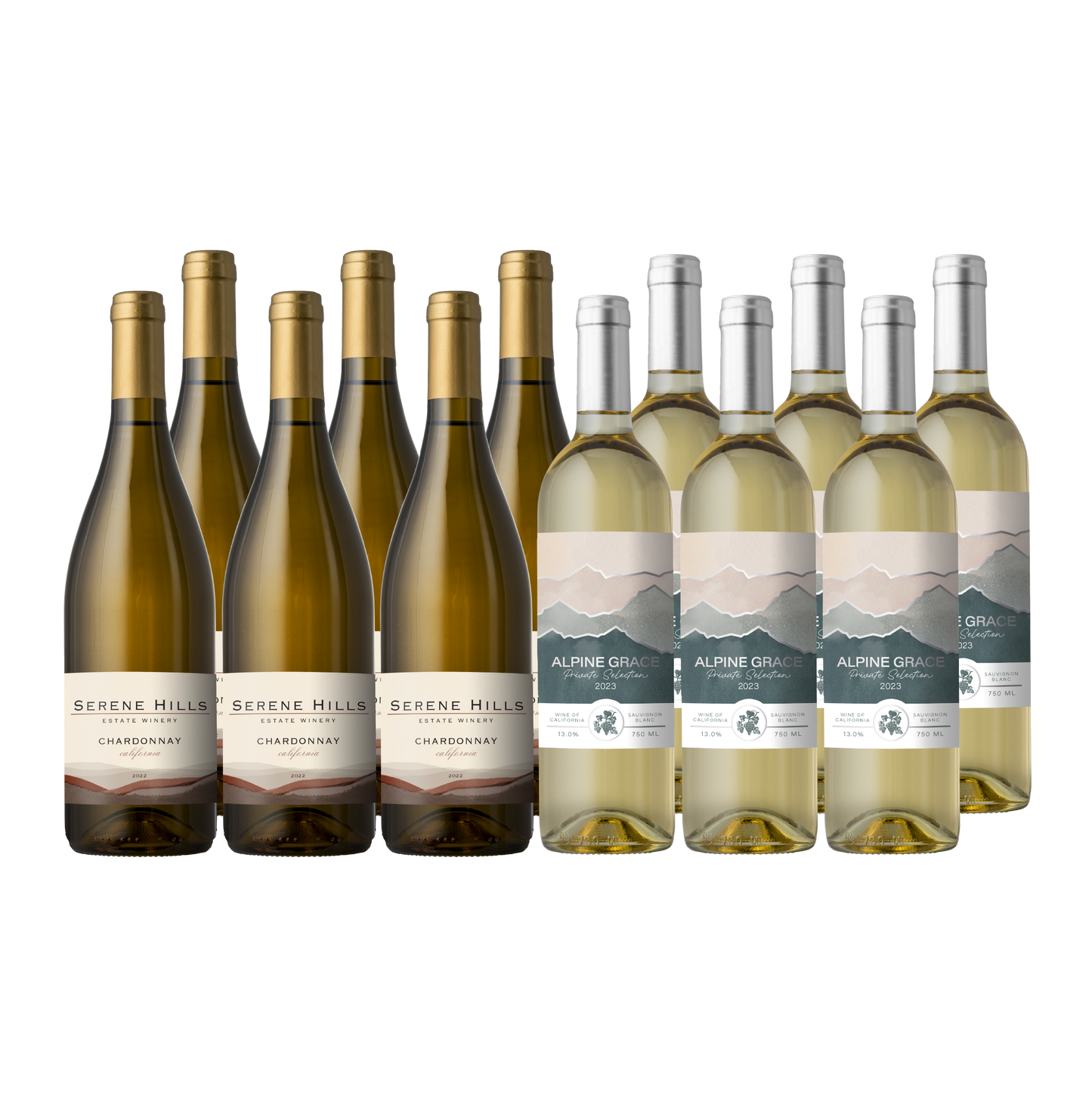 Vino Voyage Discovery Wine Set 12 Bottle All White