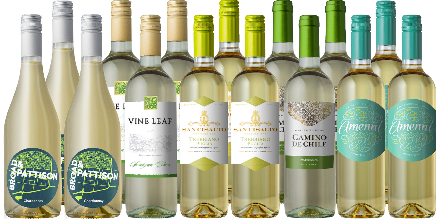 The Splash Starter 15-Pack