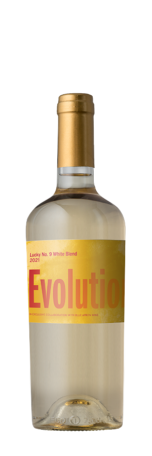 Evolution #9 White Blend 2021 500ML
