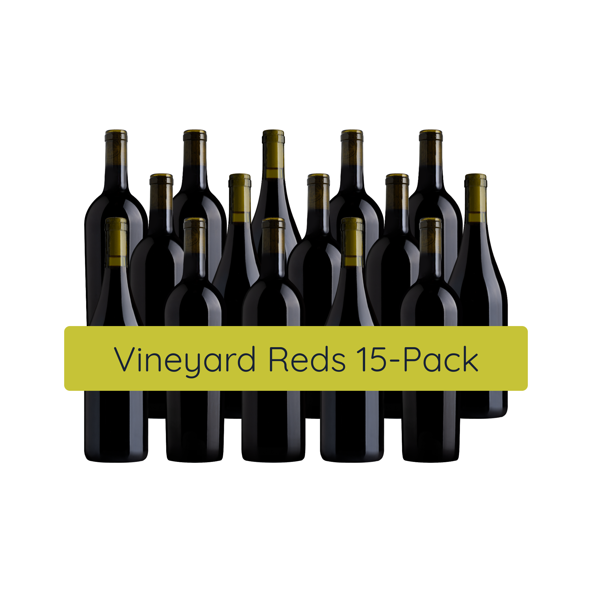 15 Bottle Subscription Case - Vineyard