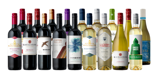 SPECIAL: Welcome to Splash 18-Pack