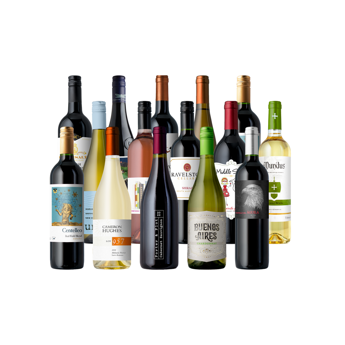Splash - The Fall Faves 15-Pack - 15-Bottle - Mixed