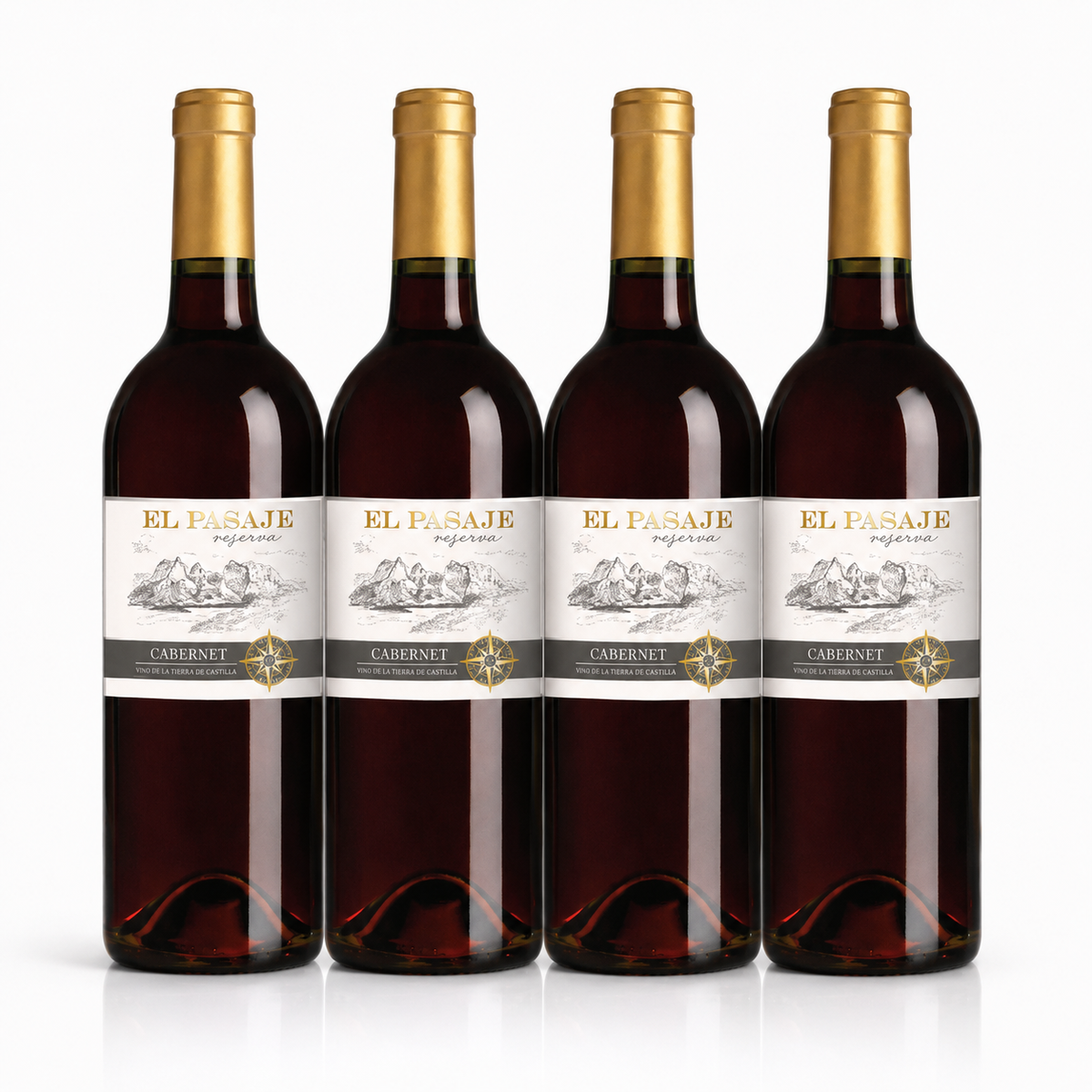 Vino Voyage Award Winning Wines EL PASAJE Cabernet Sauvignon  4 Bottle Set