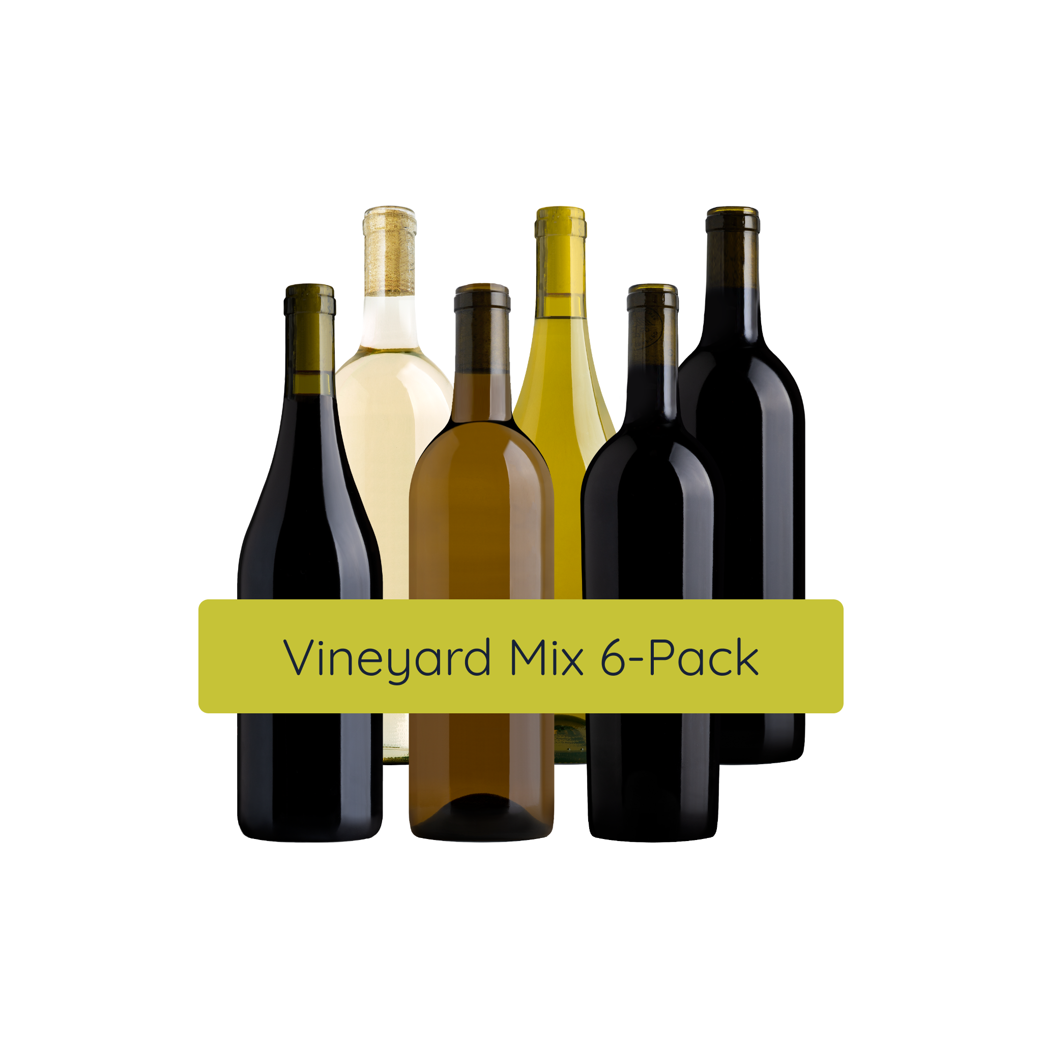 6 Bottle Subscription Case - Vineyard