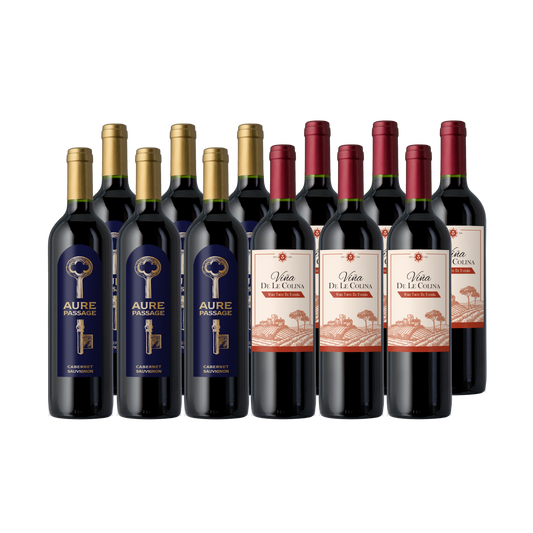 Vino Voyage Discovery Wine 12 Bottle Set All Red