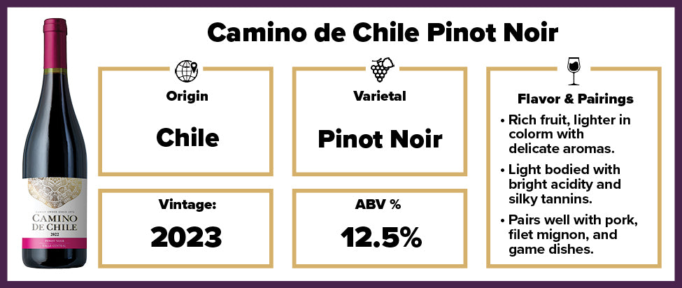 CAMINO DE CHILE Pinot Noir 2023