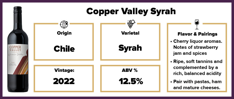 Copper Valley Syrah 2022