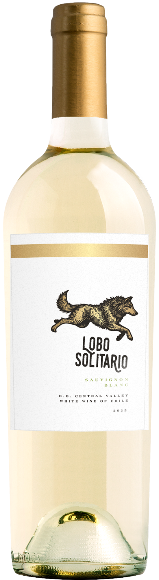 SP289669---2025-Lobo-Solitario-Sauvignon-Blanc-Chile.png