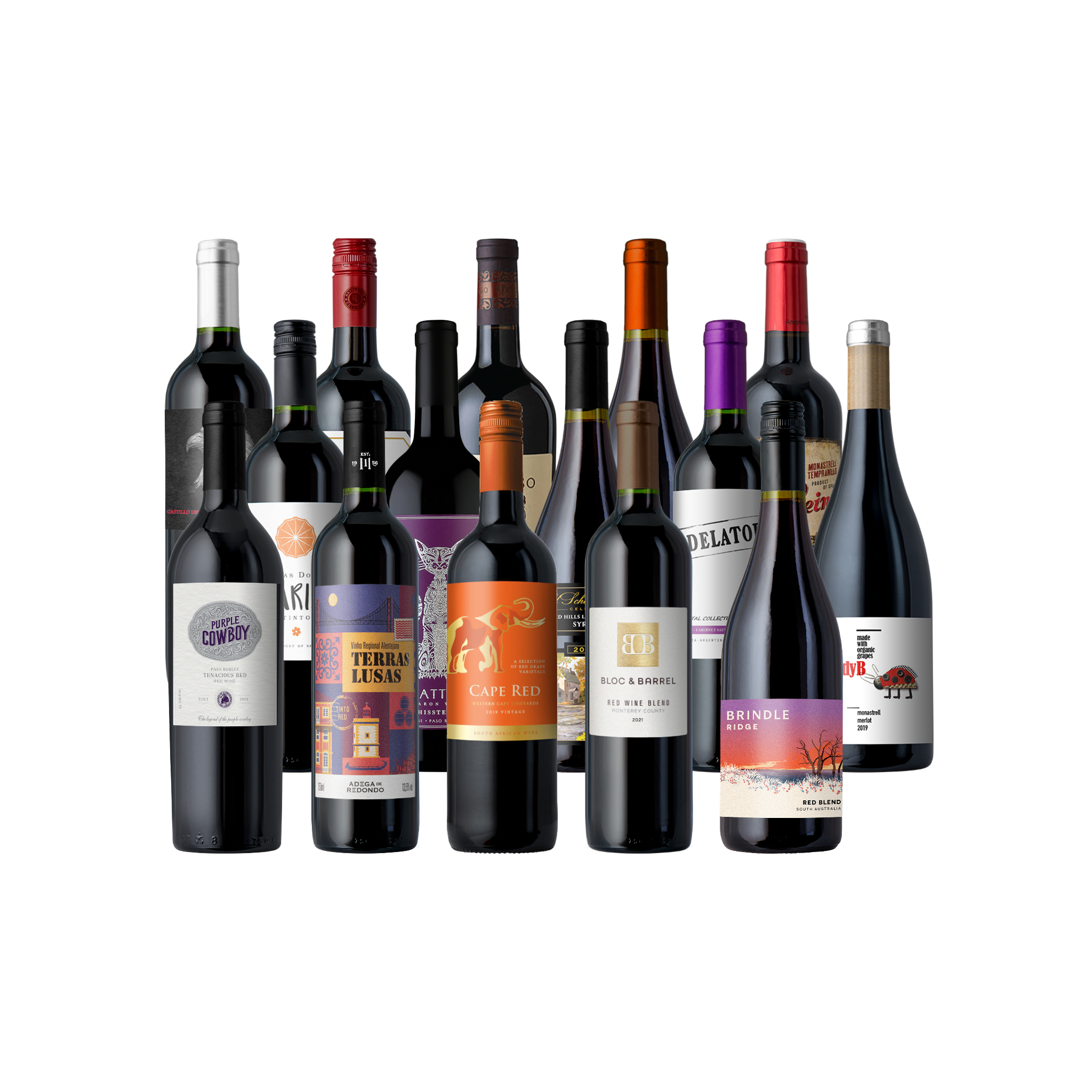 case-shot-2048 (18).png