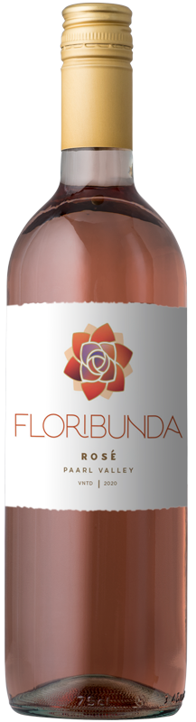 Floribunda Rose 2020 BP