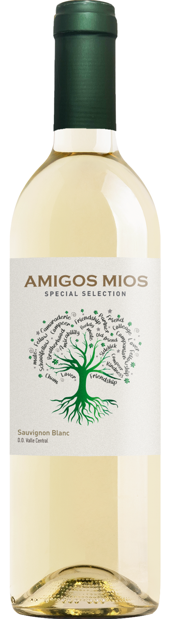 SP294909-2025AmigosMiosSauvignonBlancValleCentral750.png