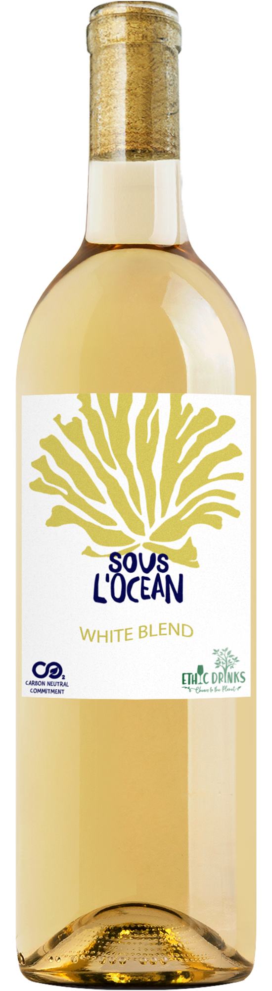 SPWI15452_2024 Sous L'Ocean White Blend IGP Pays d'Oc.png