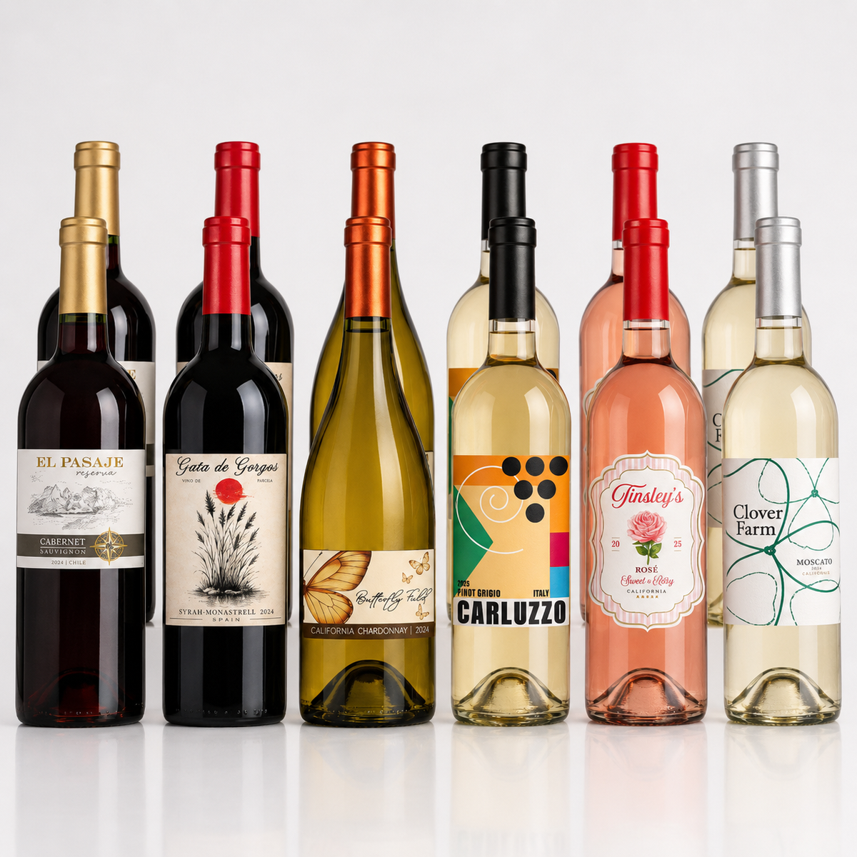 Vino Voyage Award Winning Wines 12 Bottle Set Mixed