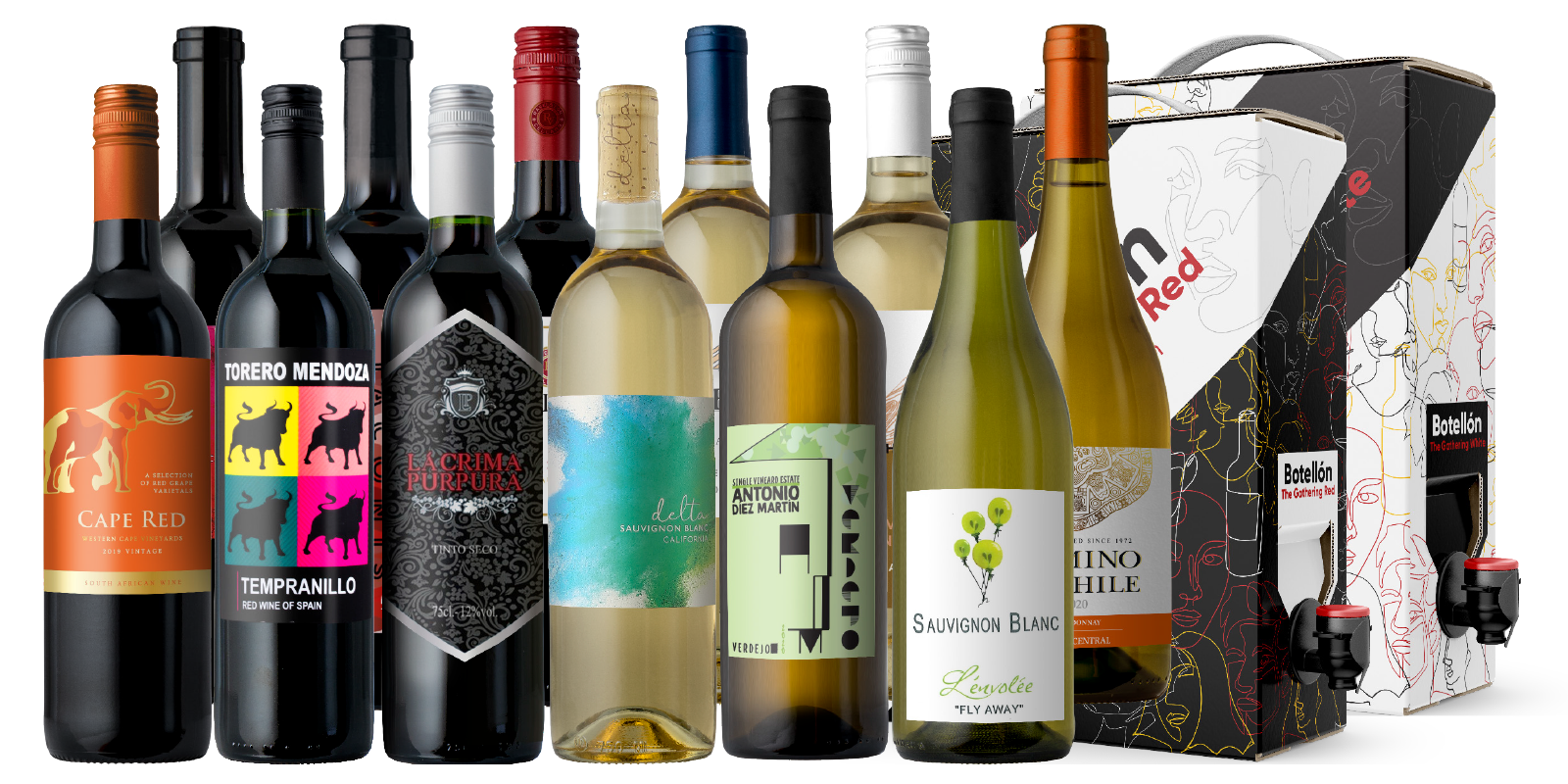 Overstock The Biggest Box Ever 20Pack Splash Wines