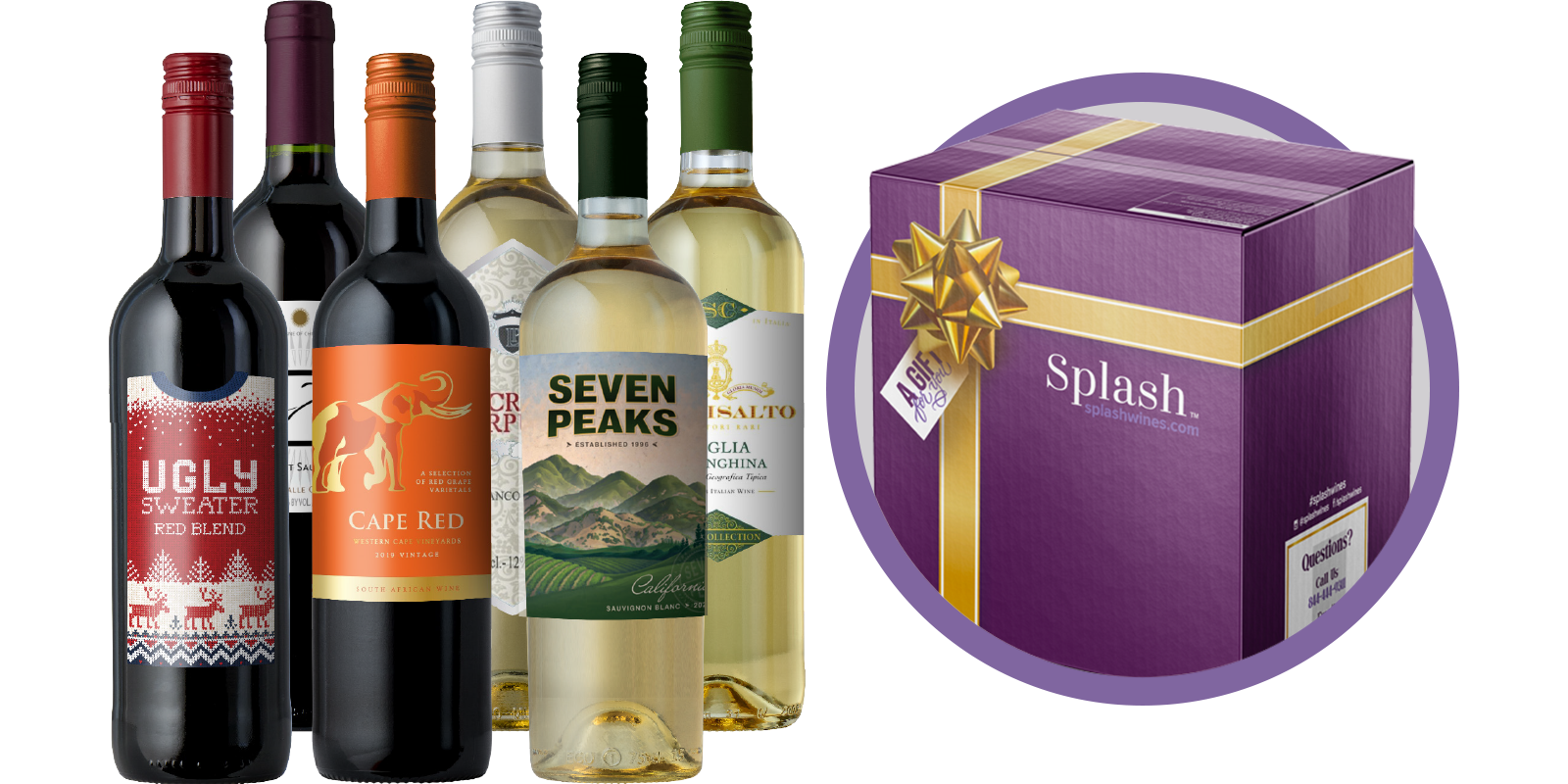 The Splash Gift Subscription