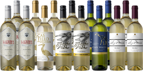 Best Prices to Buy Wine Online + Free Shipping | Splash Wines