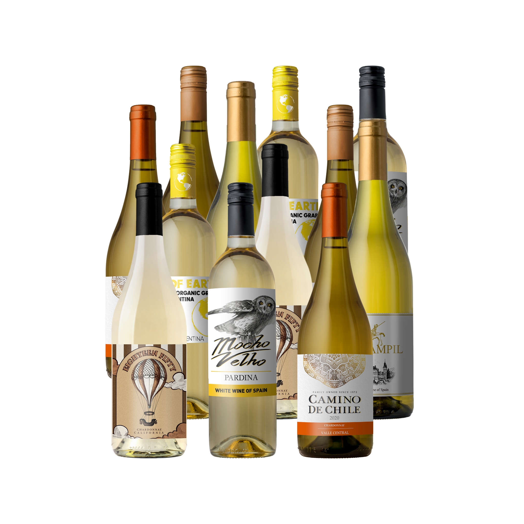Groupon World of Chardonnay 12-Pack