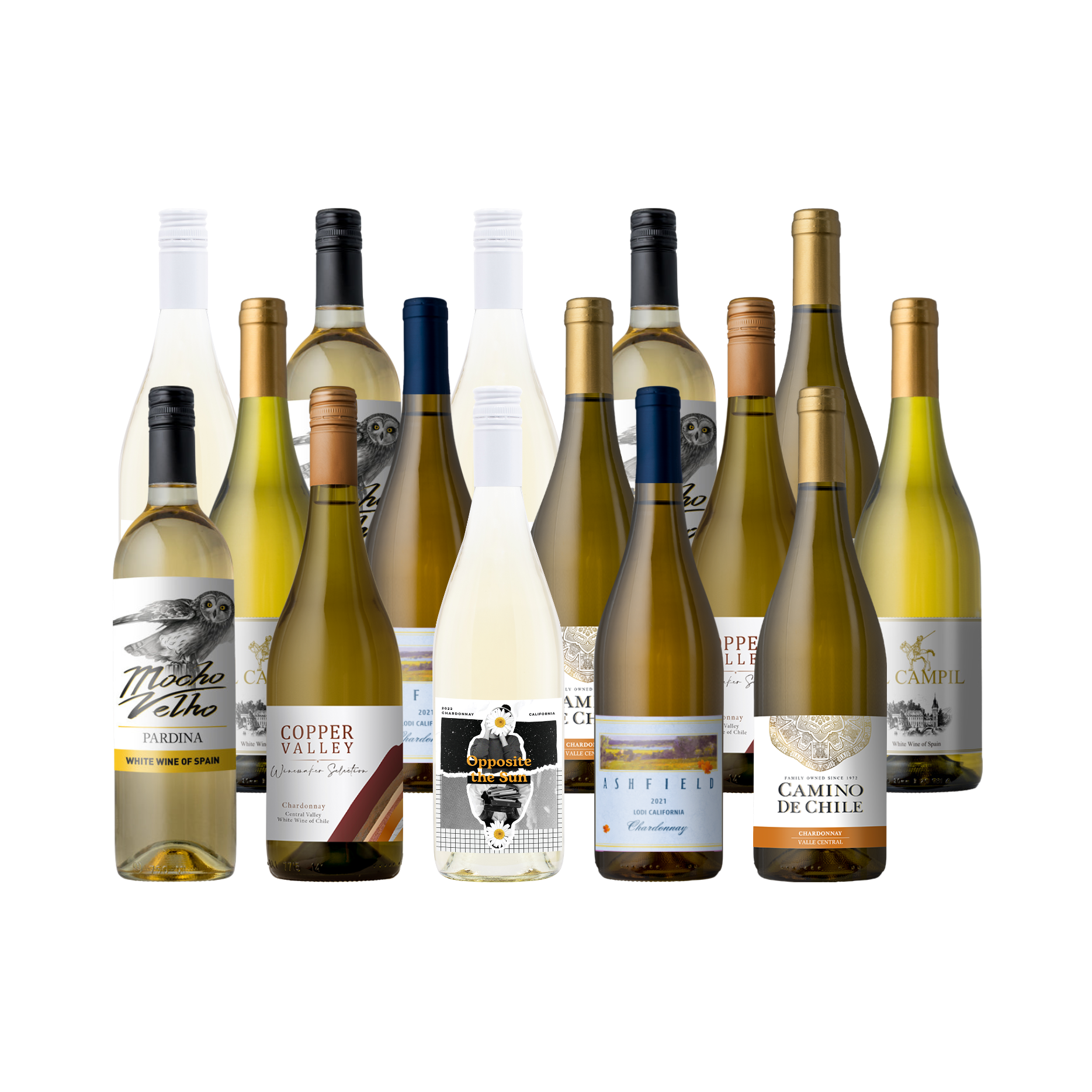 Groupon World of Chardonnay 15-Pack