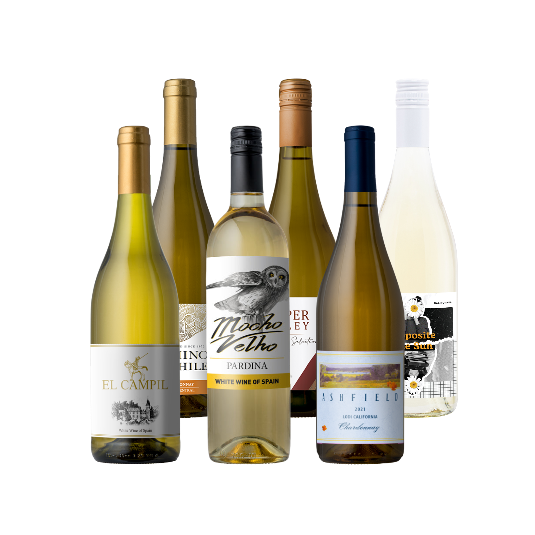 Groupon World of Chardonnay 6-Pack