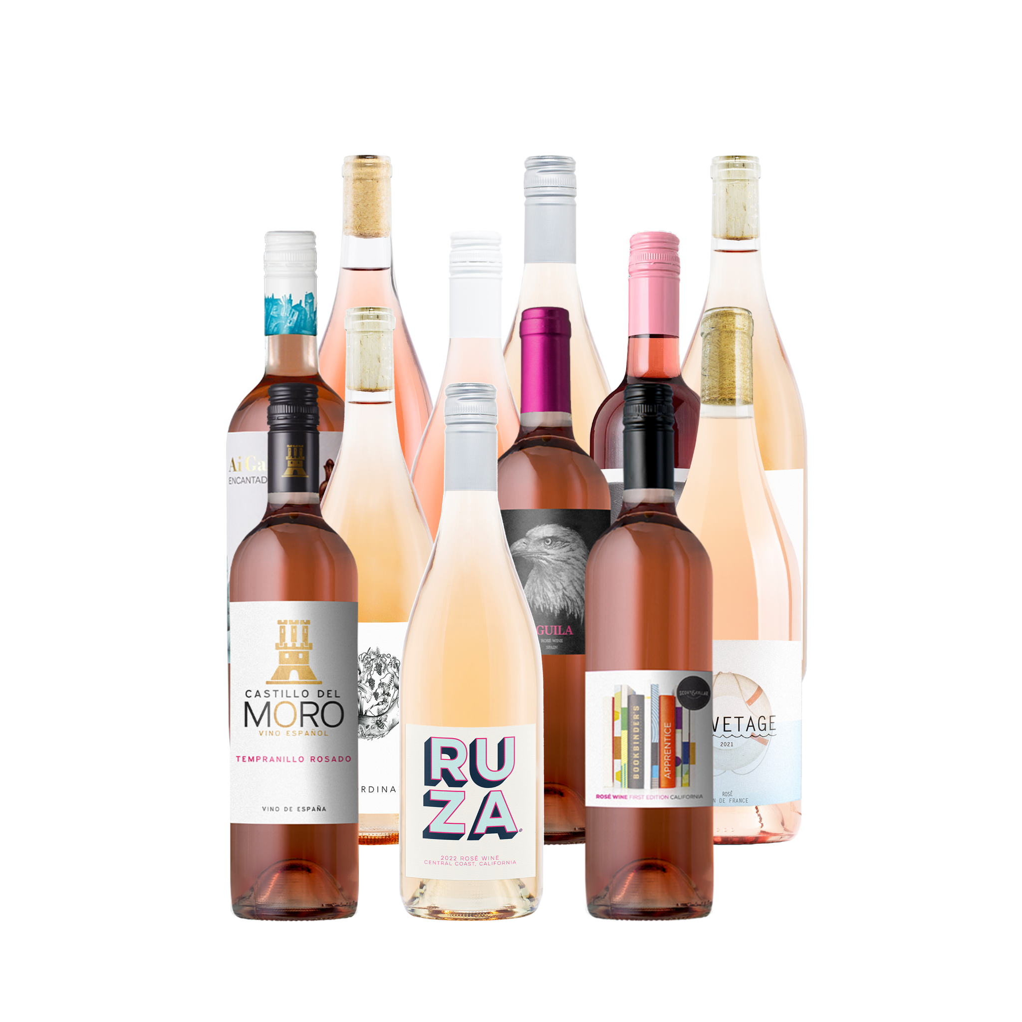 The Spring Rose Blowout 12-Pack