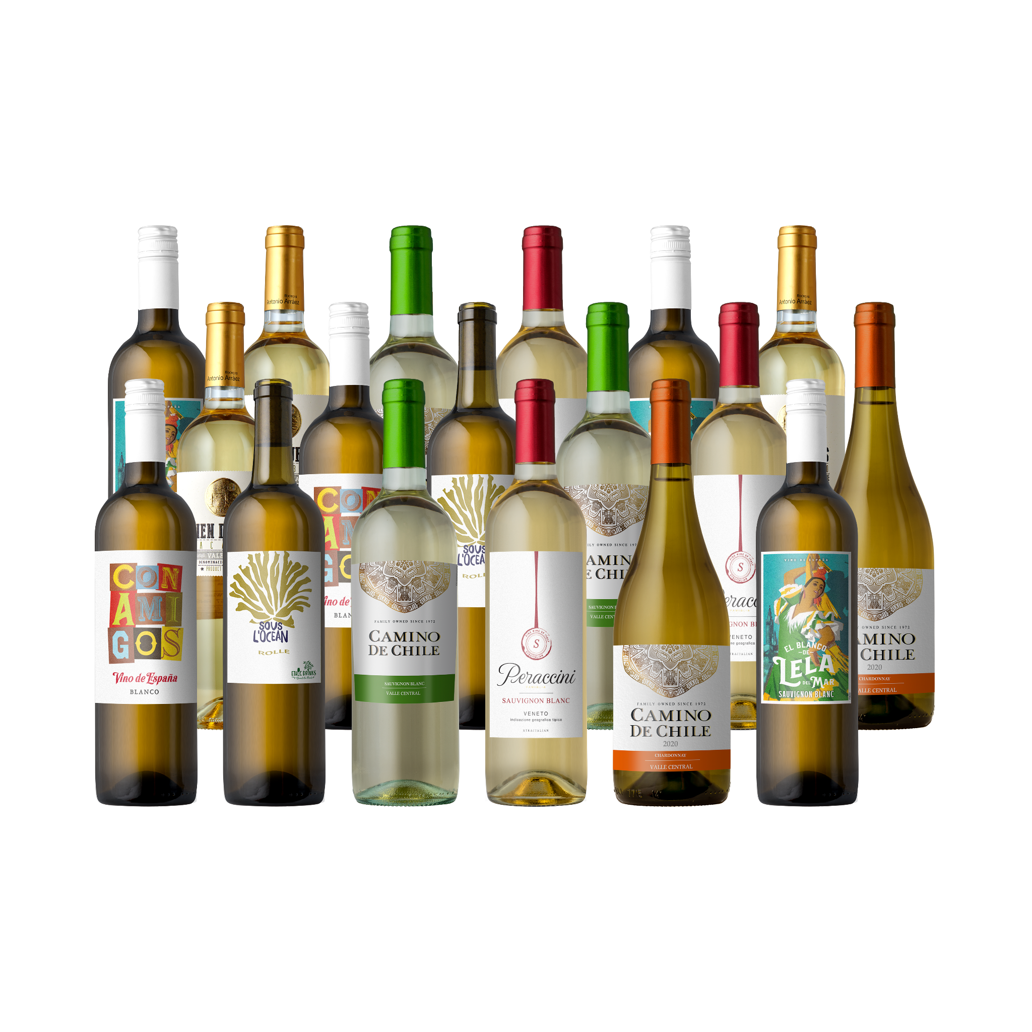 Summer Overstock 18-Pack
