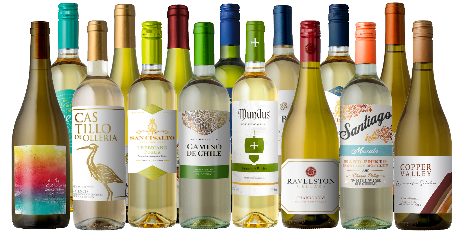 Summer White Wine Spectacular Special 15Pack Splash Wines