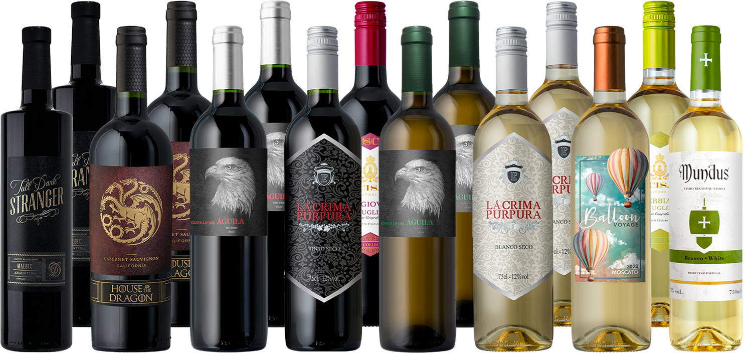 The Splash Go-To 15-Pack