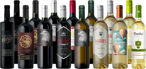 The Splash Go-To 15-Pack