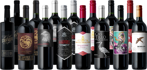 The Splash Go-To 15-Pack