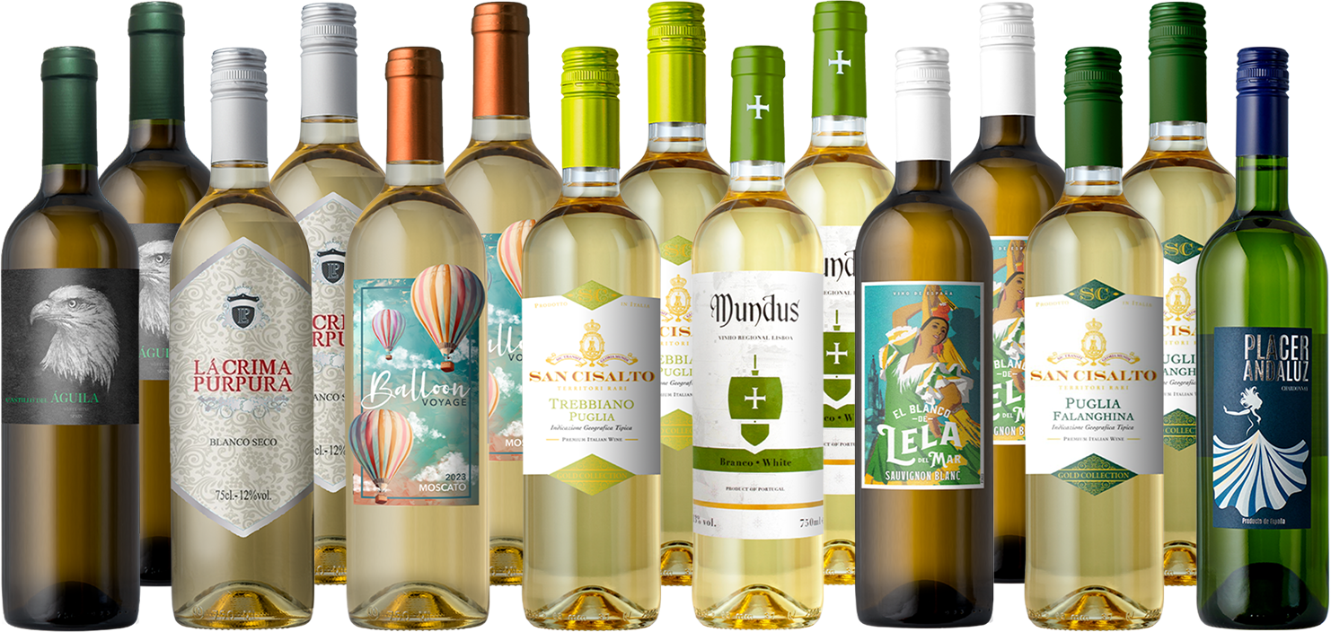 The Splash Go-To 15-Pack