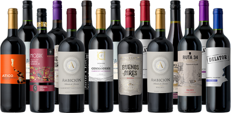 The Fall Faves Cab & Malbec 15-Pack
