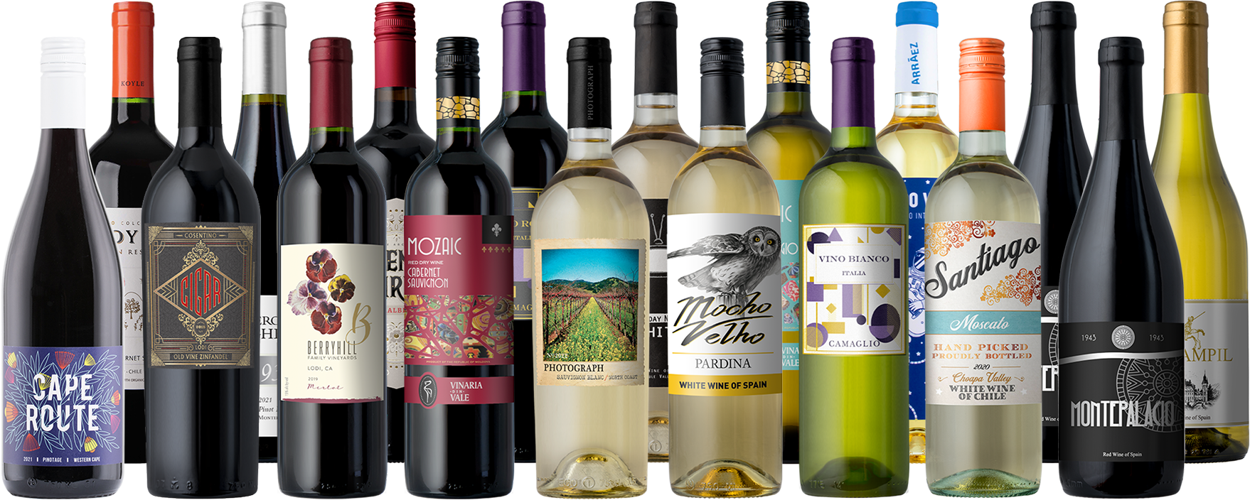 THANKSGIVING SPECIAL: The Feast Favorites Premium 18-Pack