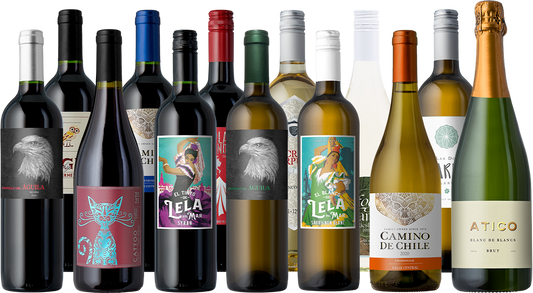 The New Year's Survival Kit