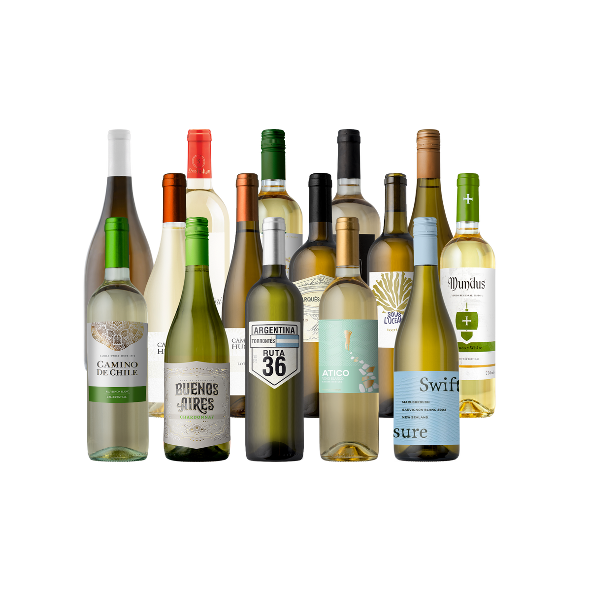 Splash - The Fall Faves 15-Pack - 15-Bottle - White