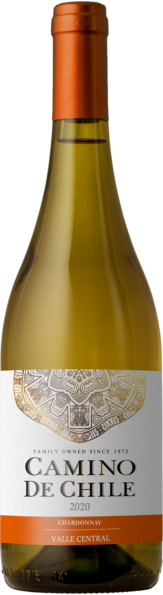 2025 Camino de Chile Chardonnay