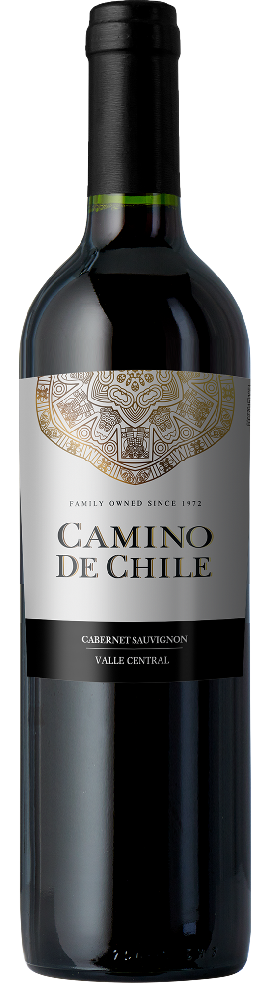 2025 Camino de Chile Cabernet Sauvignon