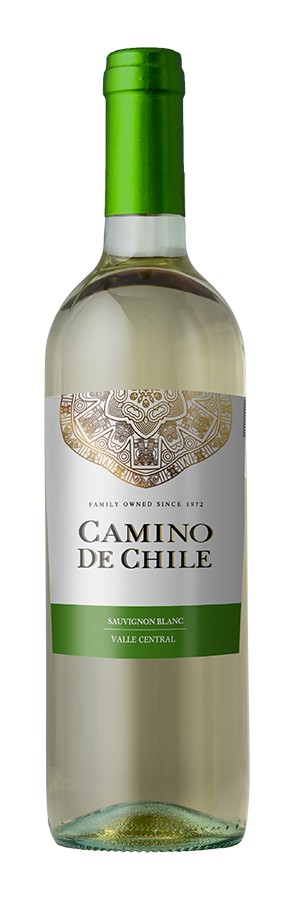 Camino de Chile Sauvignon Blanc 2025