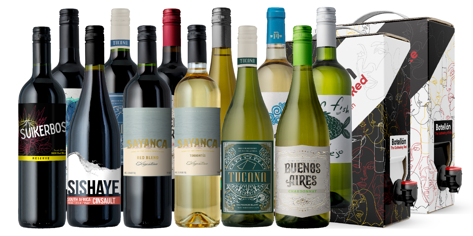 Overstock The Biggest Box Ever 20Pack Splash Wines