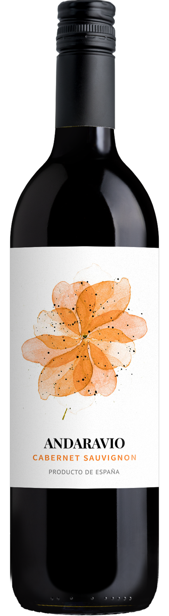 SP240493-2025AndaravioCabernetSauvignon.png