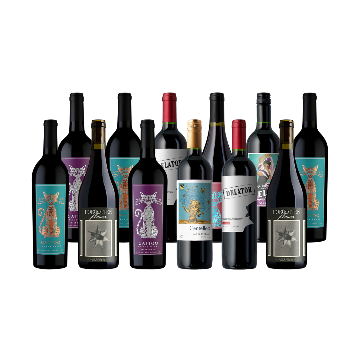 Splash - CLEARANCE: End of Summer 12-Pack - 12-Bottle - Red