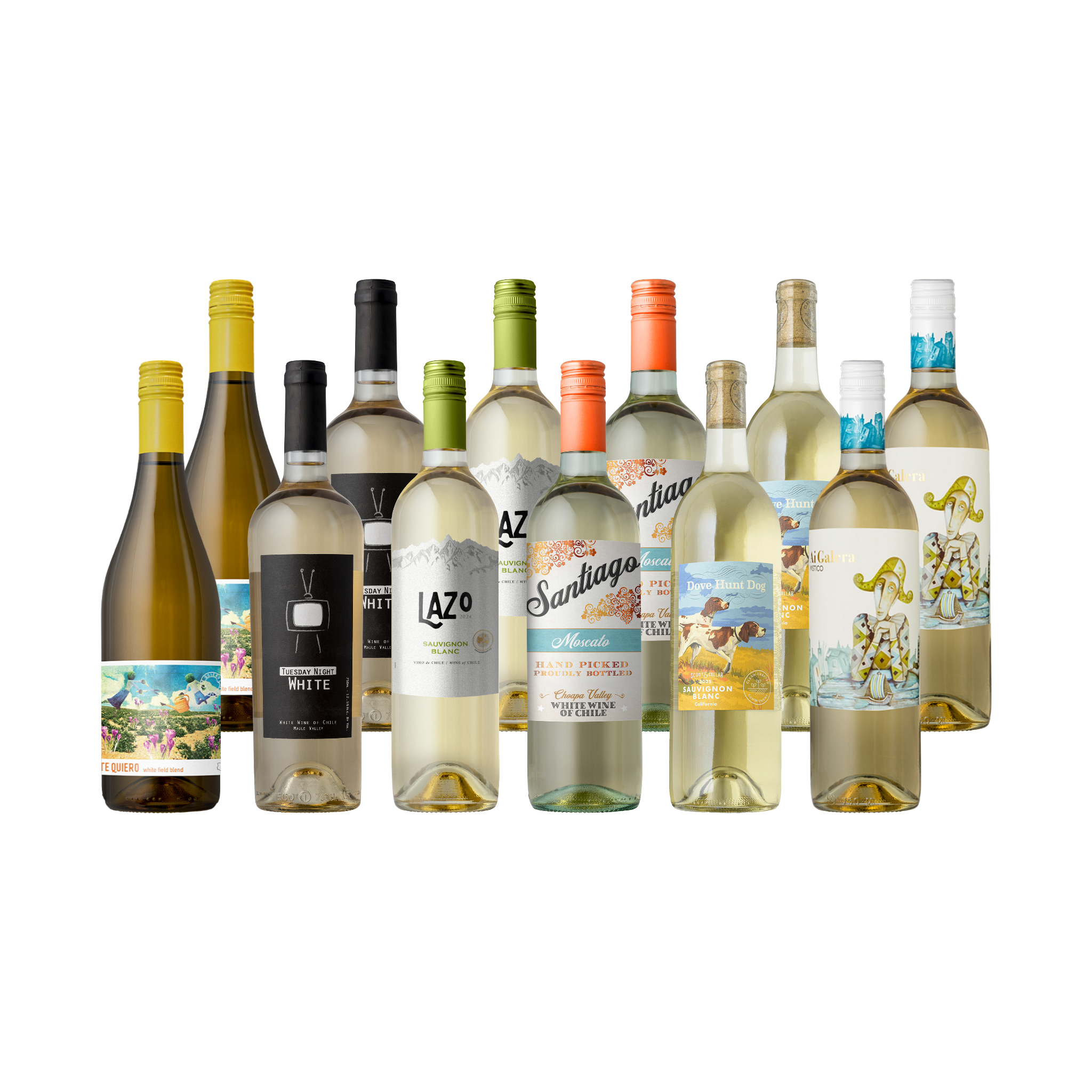 UPGRADE: The Splash Premium 12-Pack