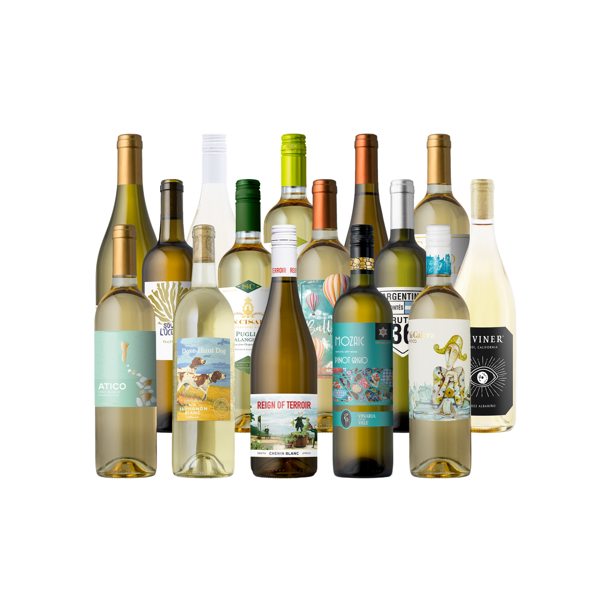 Splash - The Fall White Sampler 15-Pack - 15-Bottle - White