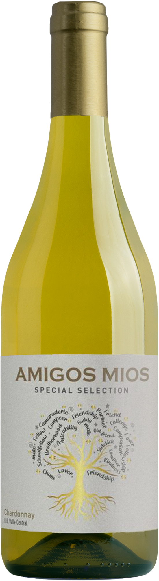 SP296531-2025AmigosMiosChardonnay.png