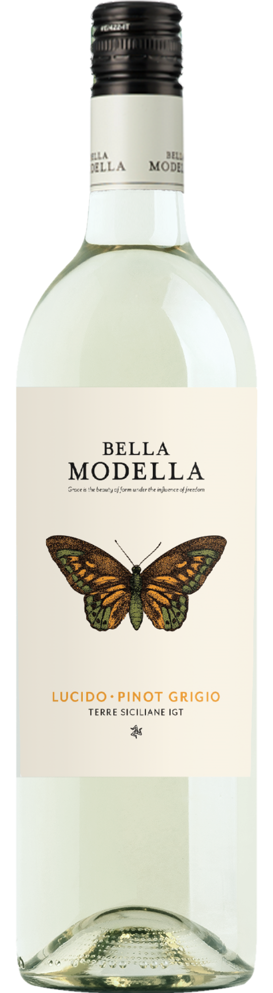 SP177305-2024BellaModellaLucido-PinotGrigio.png