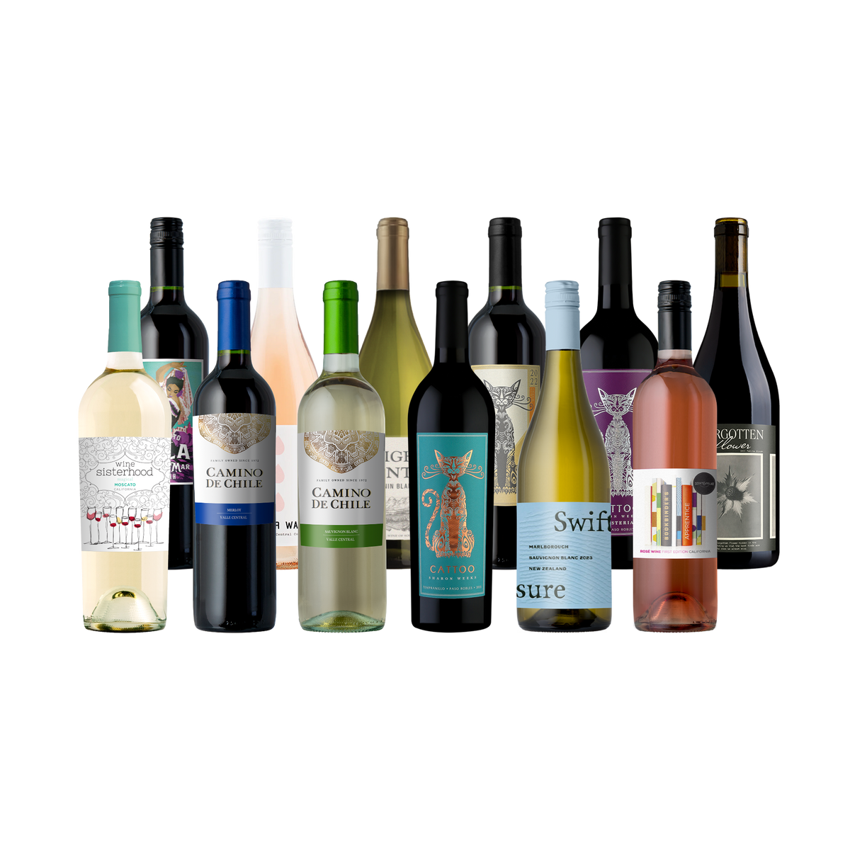 Splash - CLEARANCE: End of Summer 12-Pack - 12-Bottle - Mixed