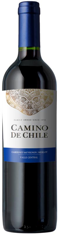 Wines Splash Merlot 2021 De Chile Camino –