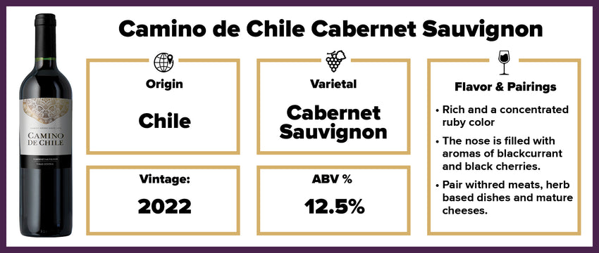 Camino de Chile Cabernet 2022 – Splash Wines