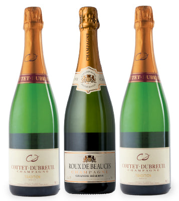 Double Your Flash! Champagne 3-Pack