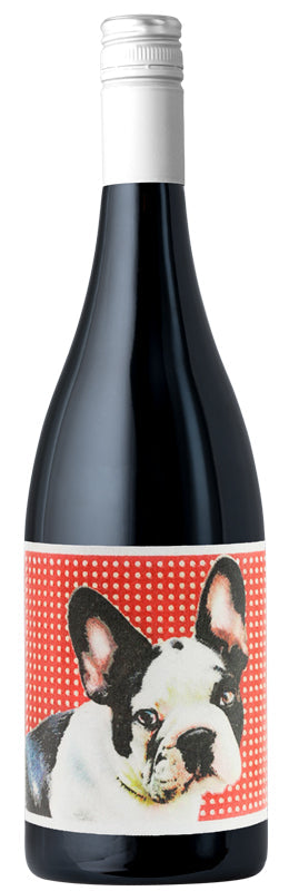 Chiens Catlans Rouge 2021