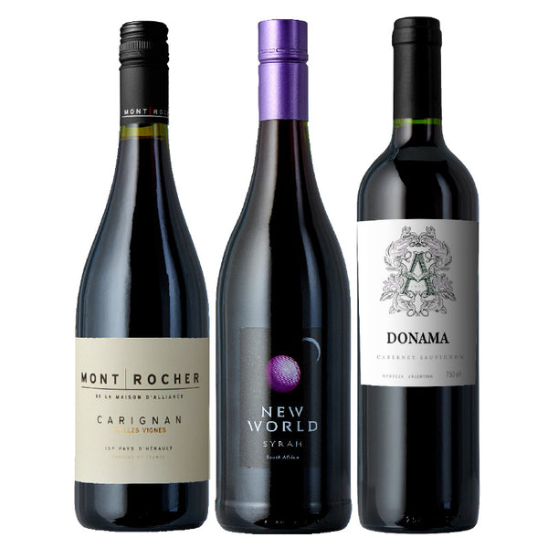 3 Bottle TopShelf Gift Set 2023 Splash Wines